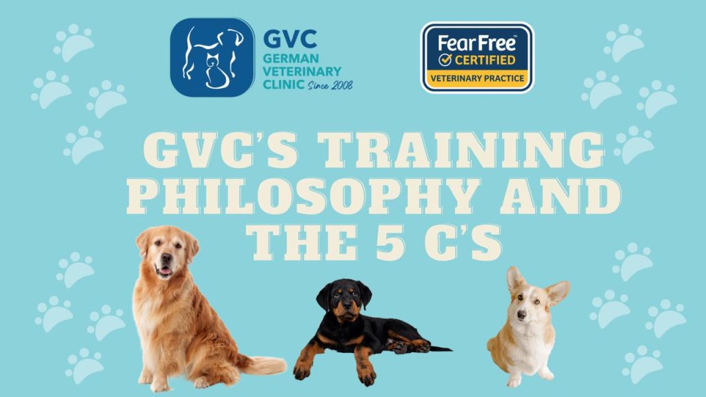 Our pet training philosophy and “The Three Cs”