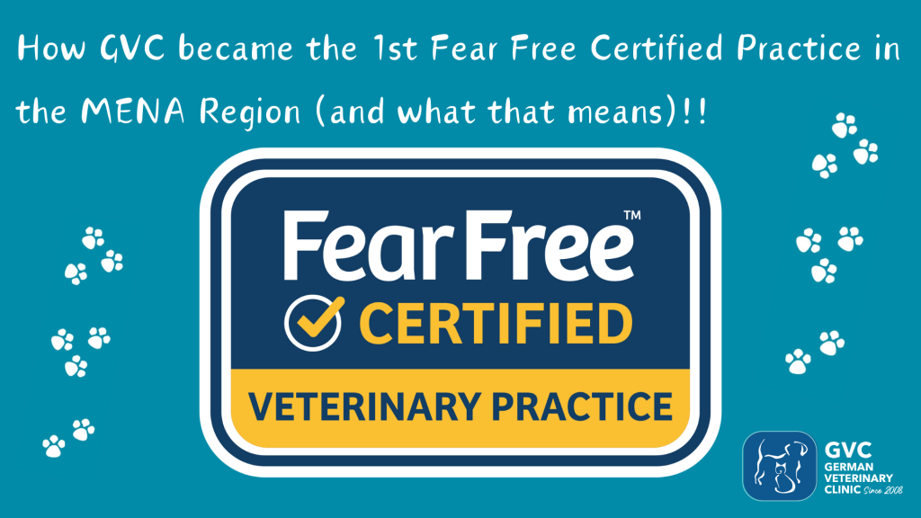 Fear Free Veterinary Practice Certification