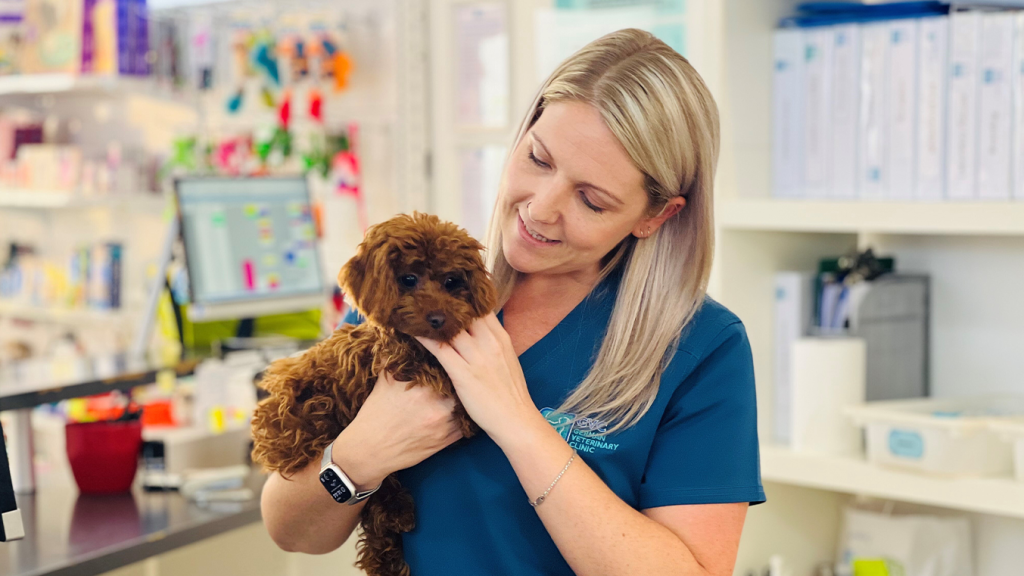 Abu Dhabi Pet Health Tips- Blog