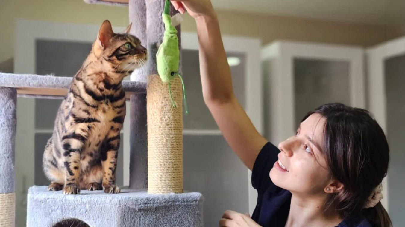 Diet Tips for Pets in UAE
