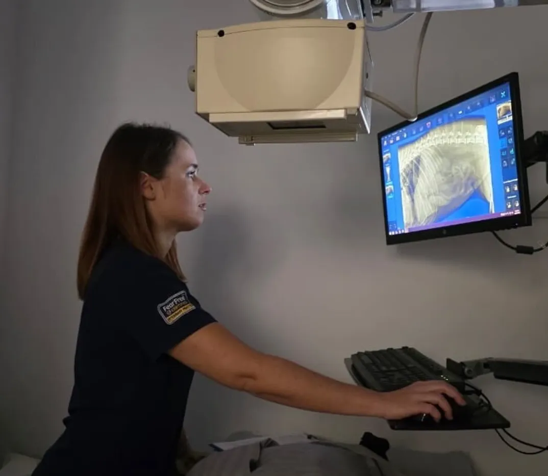 Pet X-Ray Abu Dhabi