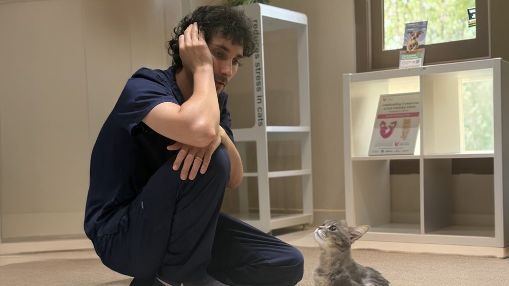 Signs Your Pet Needs a Vet