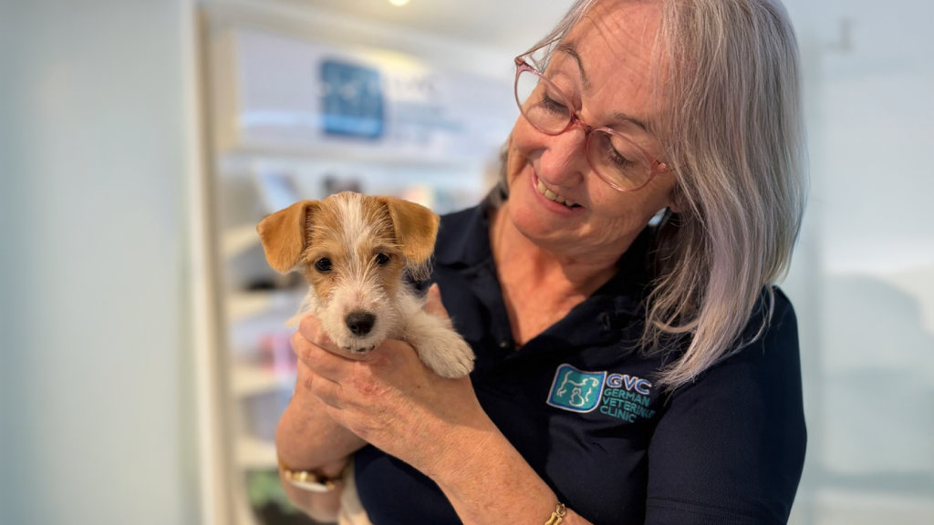 Ear Infections in Cats and Dogs
