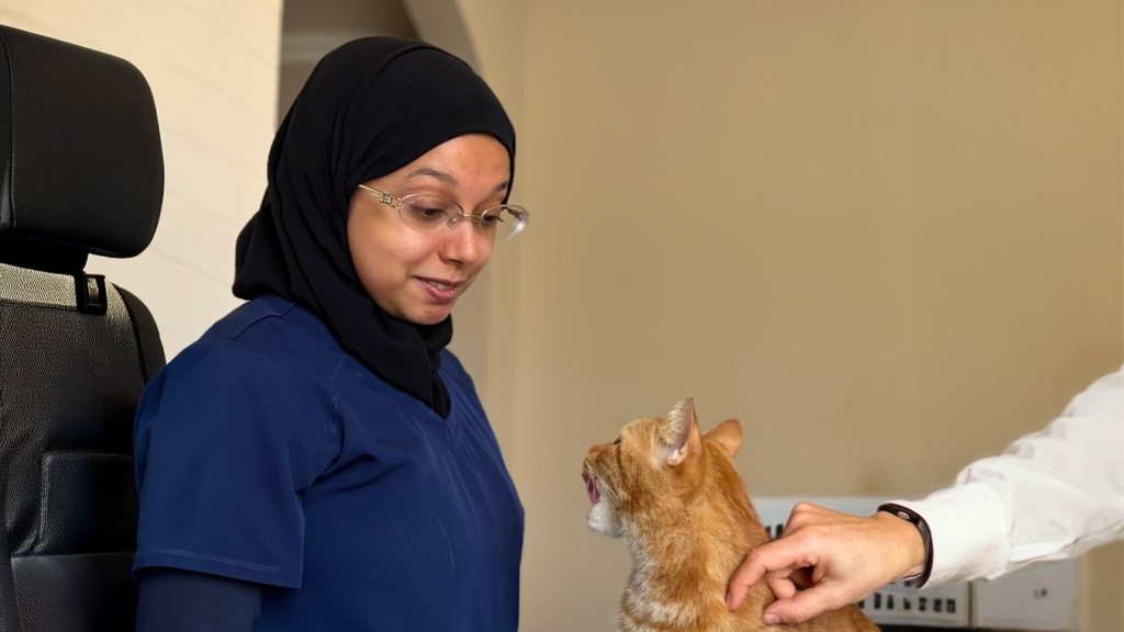 Pet Health Check