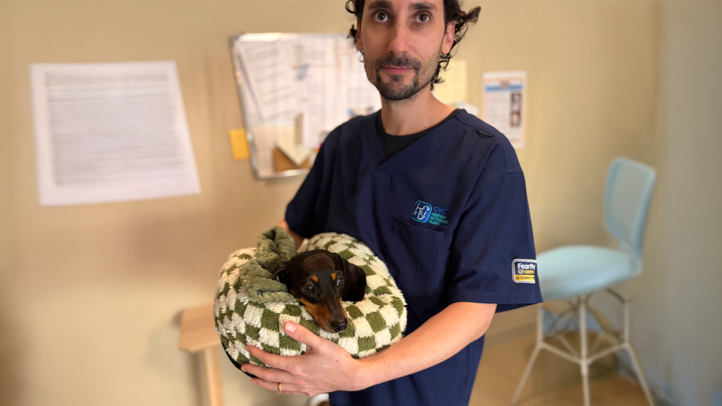 Rolo’s Neurosurgery